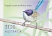 Purple-crowned Fairywren Malurus coronatus