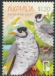 Noisy Miner Manorina melanocephala  2023 Aussie bird count 