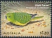 Australia 2024 Ground parrots 