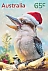 Laughing Kookaburra Dacelo novaeguineae