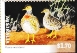 Plains-wanderer Pedionomus torquatus  2026 Endangered birds Sheet in stamp pack
