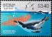 Chinstrap Penguin Pygoscelis antarcticus
