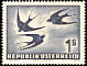 Barn Swallow Hirundo rustica  1953 Air 