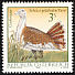 Great Bustard Otis tarda