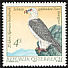 Bearded Vulture Gypaetus barbatus  1987 Endangered animals 