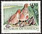 Grey Partridge Perdix perdix  1999 Hunting and the environment 