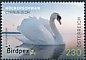 Mute Swan Cygnus olor  2022 Birdpex 2022 