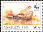 Caucasian Grouse Lyrurus mlokosiewiczi  1994 WWF Sheet