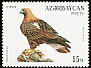 Eastern Imperial Eagle Aquila heliaca