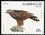 Steppe Eagle Aquila nipalensis