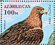 Golden Eagle Aquila chrysaetos