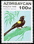 Yellow-mantled Widowbird Euplectes macroura