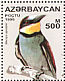 European Bee-eater Merops apiaster