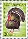 Wild Turkey Meleagris gallopavo