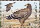Steppe Eagle Aquila nipalensis  2016 Joint issue with Belarus Sheet with 4x2v