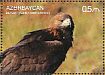 Golden Eagle Aquila chrysaetos  2017 The nature of Azerbaijan  MS