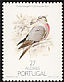 Common Wood Pigeon Columba palumbus  1988 Nature protection, birds 