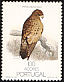 Common Buzzard Buteo buteo  1988 Nature protection, birds 