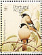 Azores Bullfinch Pyrrhula murina  1990 WWF 