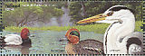 Common Pochard Aythya ferina  2009 Lakes, in yearbook 2009 Prestige booklet