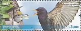 Common Starling Sturnus vulgaris  2023 Fauna  MS