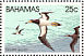 Brown Booby Sula leucogaster  1981 Birds Sheet