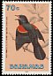 Red-winged Blackbird Agelaius phoeniceus  1991 Birds 