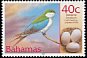 Bahama Swallow Tachycineta cyaneoviridis  2001 Birds and eggs 
