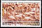 American Flamingo Phoenicopterus ruber  2003 Inagua national park 