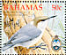 Bahama Nuthatch Sitta insularis  2006 BirdLife International Sheet
