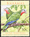Cuban Amazon Amazona leucocephala  2009 Rare birds 