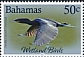 Double-crested Cormorant Nannopterum auritum  2022 Wetmark birds 