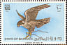 Peregrine Falcon Falco peregrinus