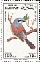 Red-backed Shrike Lanius collurio