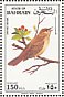 Thrush Nightingale Luscinia luscinia