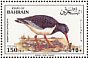 Eurasian Oystercatcher Haematopus ostralegus  1993 Water birds Sheet