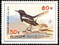 Oriental Magpie-Robin Copsychus saularis