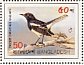 Oriental Magpie-Robin Copsychus saularis