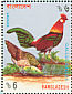 Red Junglefowl Gallus gallus