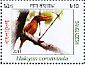 Ruddy Kingfisher  Halcyon coromanda