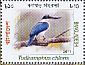 Collared Kingfisher Todiramphus chloris