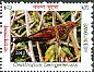 Lesser Coucal Centropus bengalensis