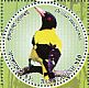 Black-hooded Oriole Oriolus xanthornus  2016 Birds Sheet