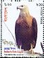 Pallas's Fish Eagle Haliaeetus leucoryphus