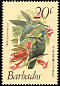 Antillean Crested Hummingbird Orthorhyncus cristatus  1979 Birds 