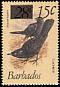 Carib Grackle Quiscalus lugubris