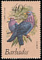 Scaly-naped Pigeon Patagioenas squamosa  1982 New face value 