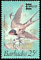 Barn Swallow Hirundo rustica  1987 Capex 87 