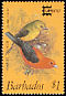 Scarlet Tanager Piranga olivacea  1987 Capex 87 