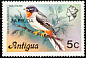 Rufous-throated Solitaire Myadestes genibarbis  1977 Overprint BARBUDA on Antigua 1976.01 